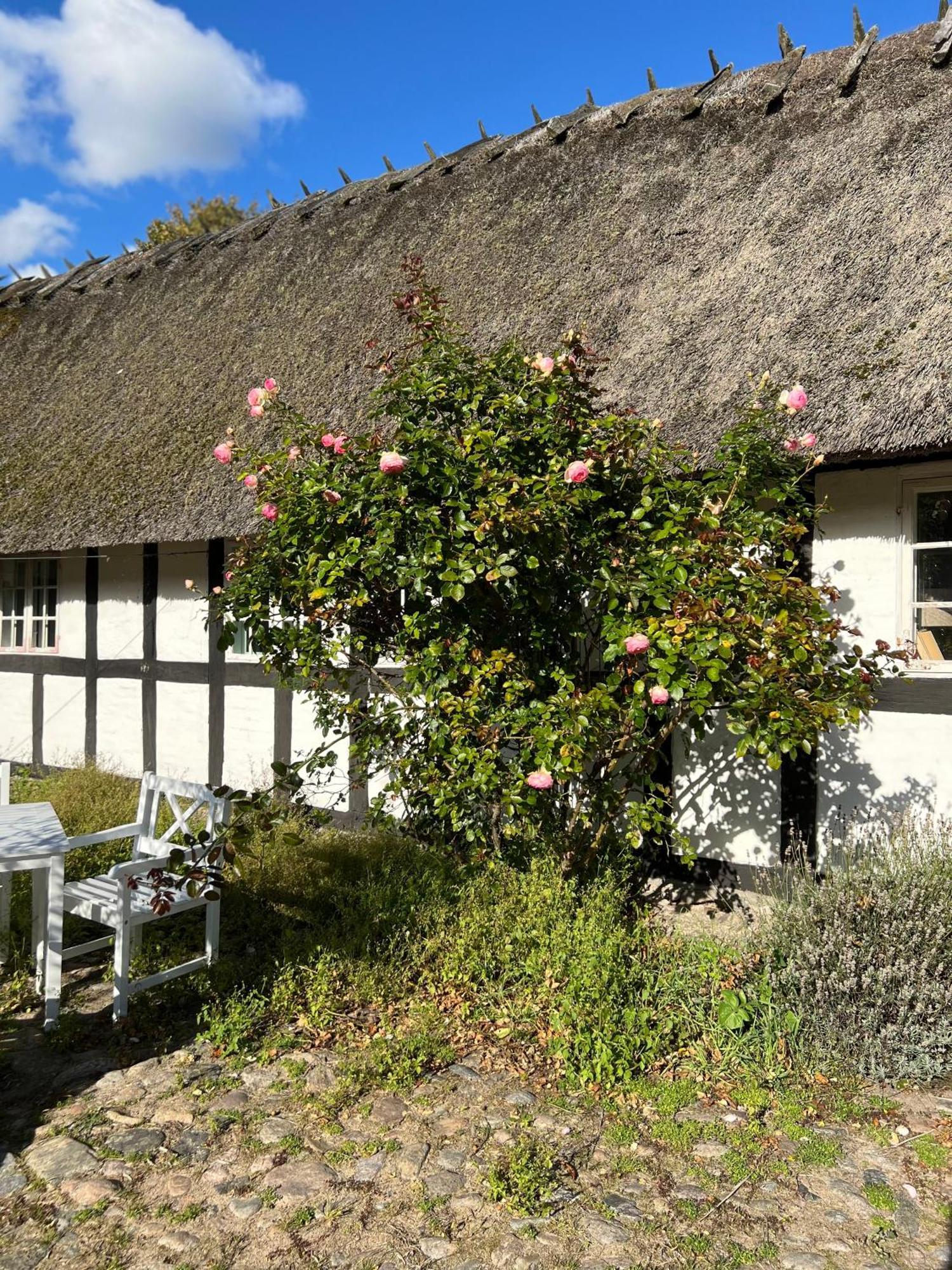 Solbjerggaard Bed & Breakfast Fåborg Екстериор снимка