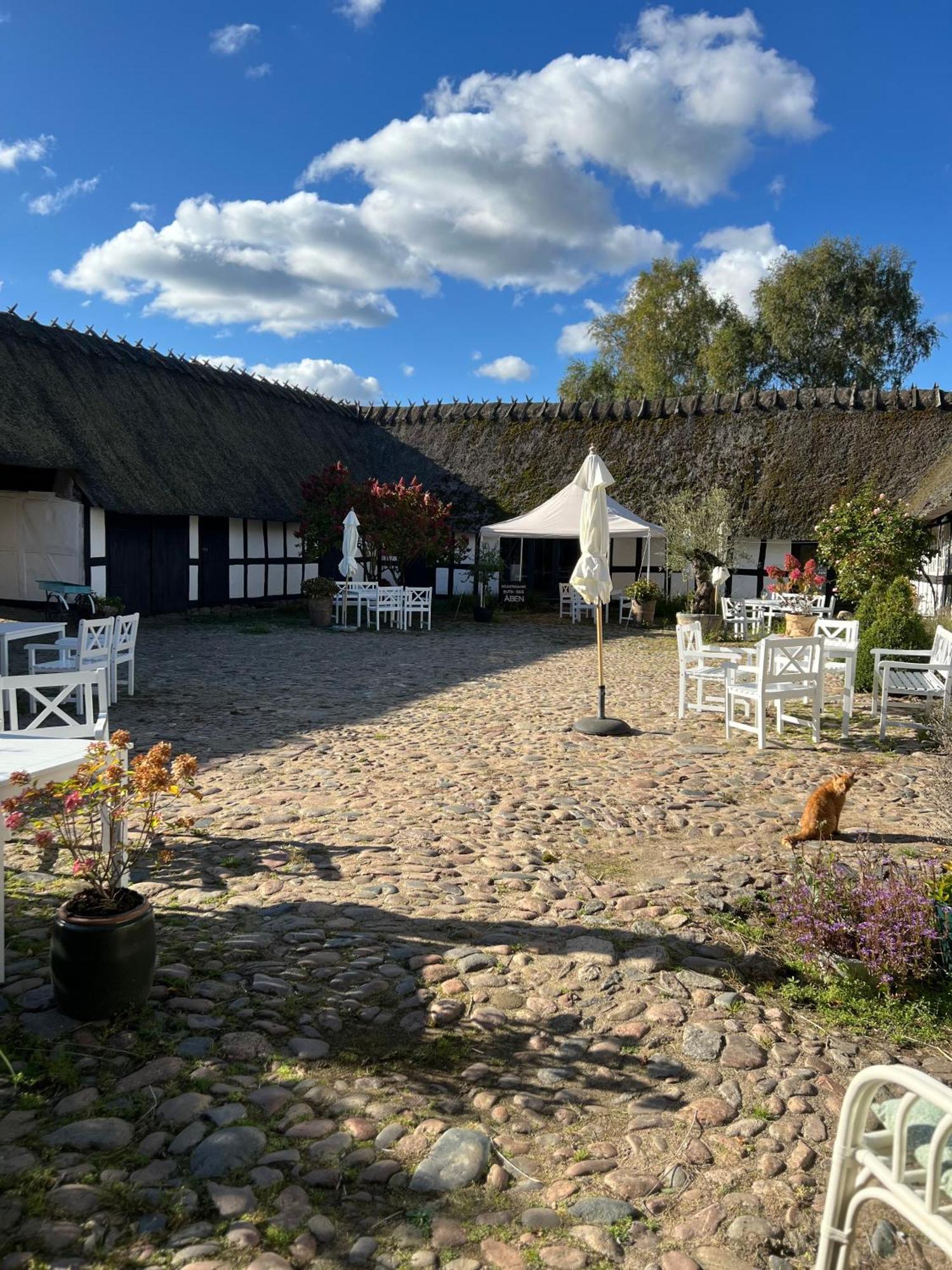 Solbjerggaard Bed & Breakfast Fåborg Екстериор снимка