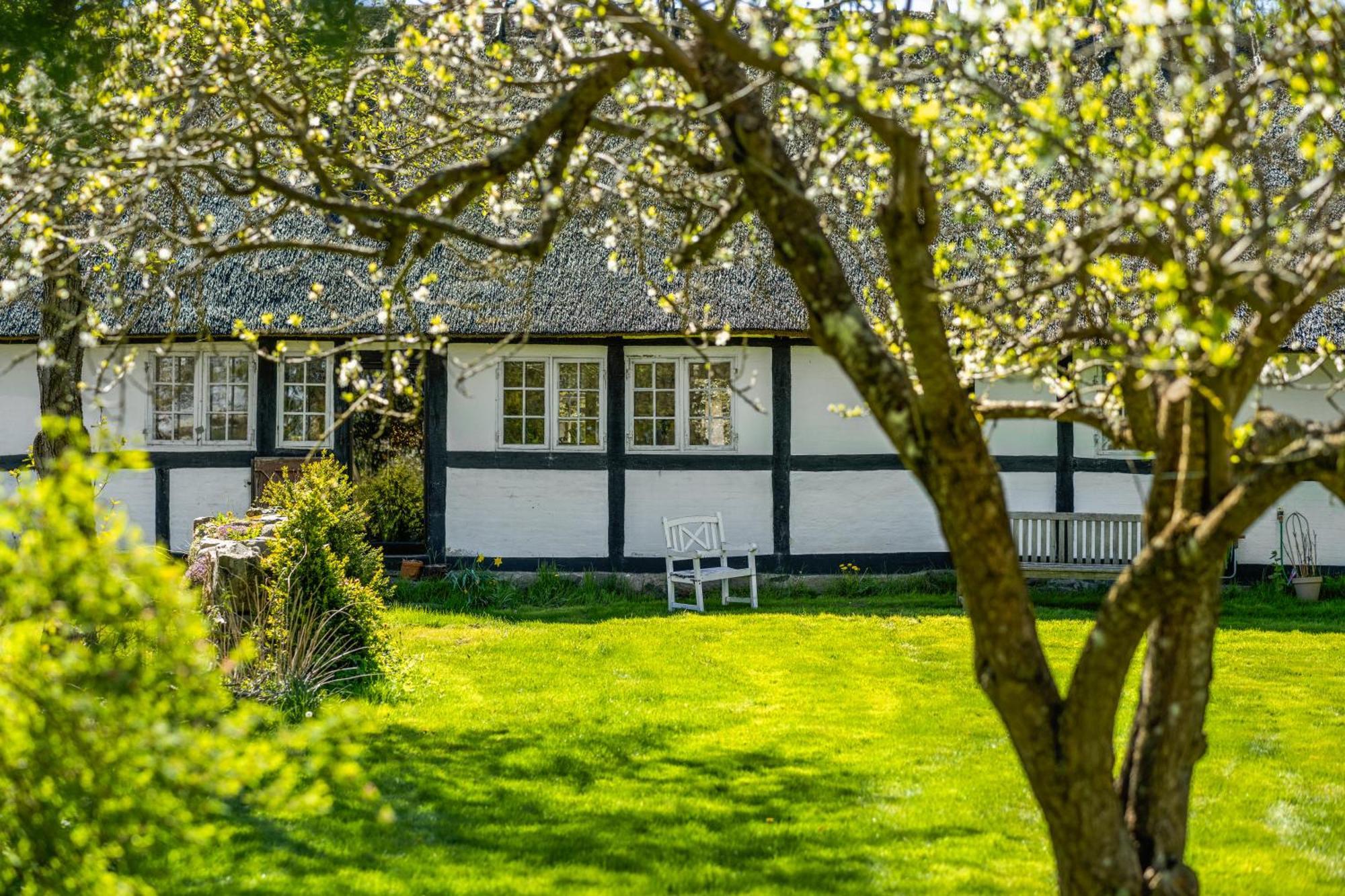 Solbjerggaard Bed & Breakfast Fåborg Екстериор снимка