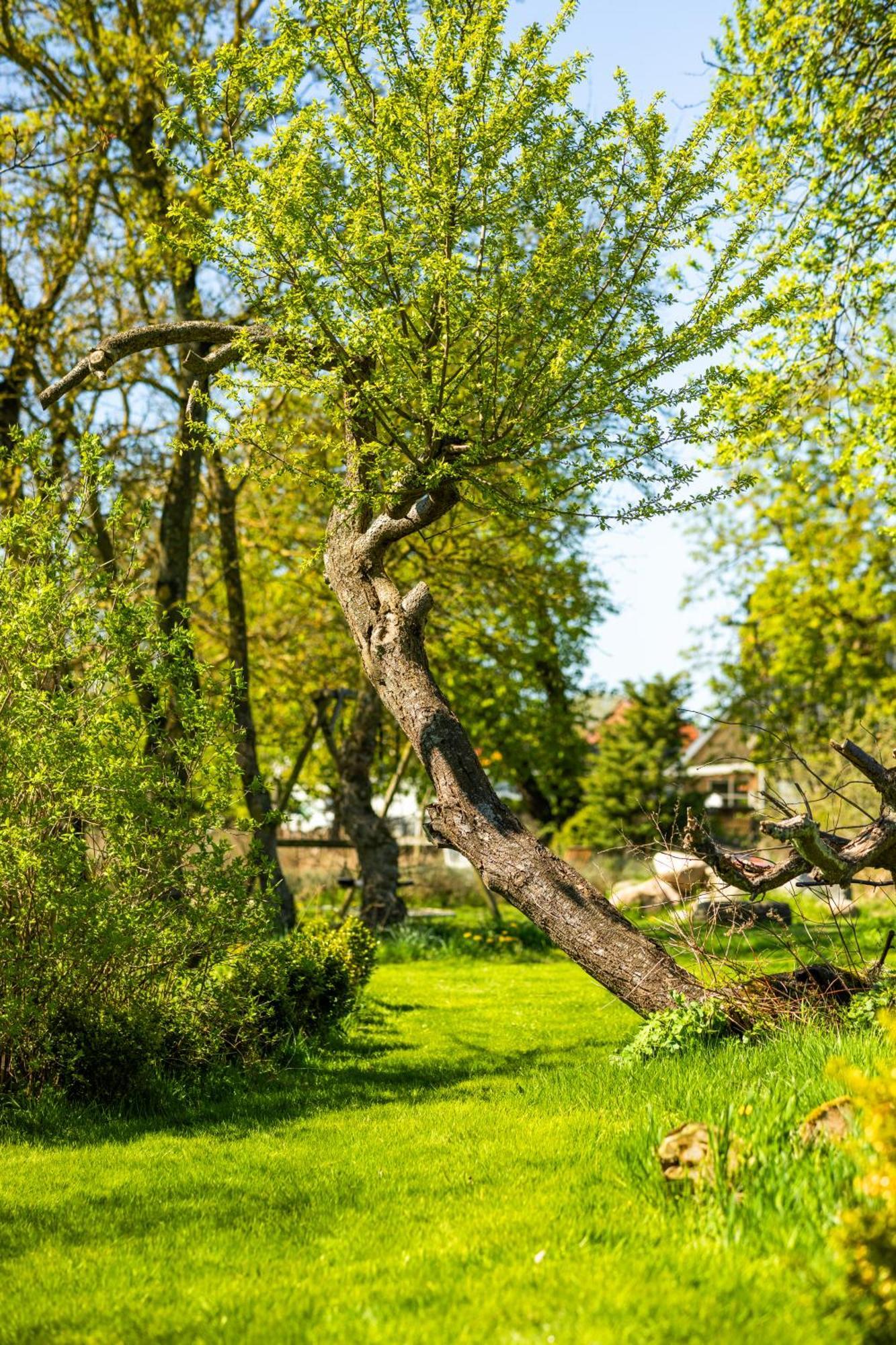 Solbjerggaard Bed & Breakfast Fåborg Екстериор снимка