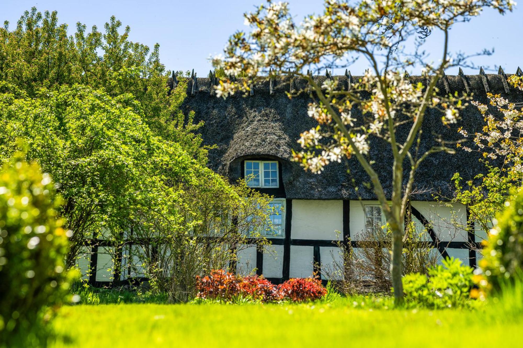 Solbjerggaard Bed & Breakfast Fåborg Екстериор снимка