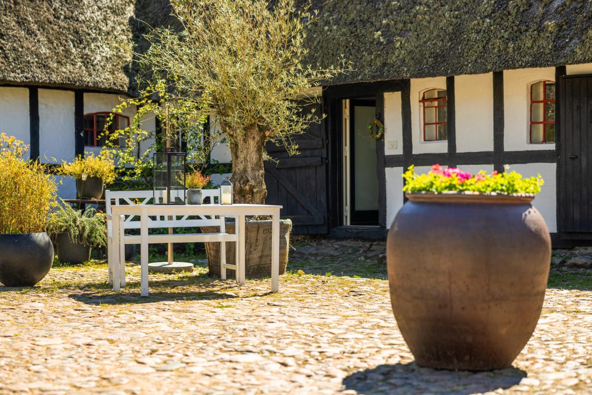 Solbjerggaard Bed & Breakfast Fåborg Екстериор снимка